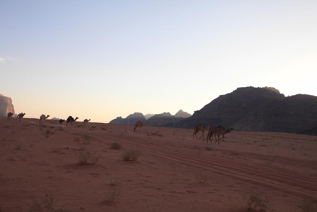 Bedouin Expedition Wadi Rum Exterior foto