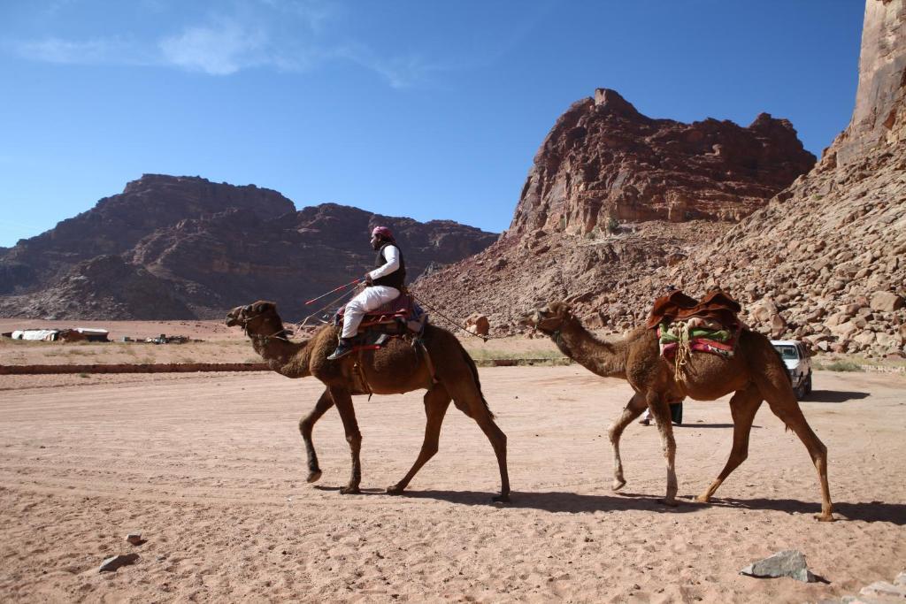 Bedouin Expedition Wadi Rum Exterior foto